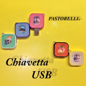 NOUVEAUX CLE USB Pastorelli - '4 G 5 modèles engins GR